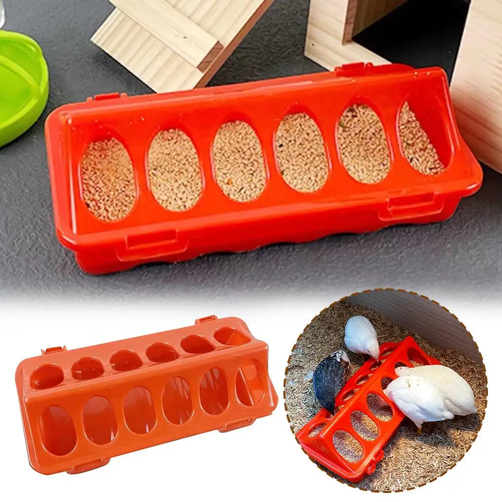 product-1001-1001